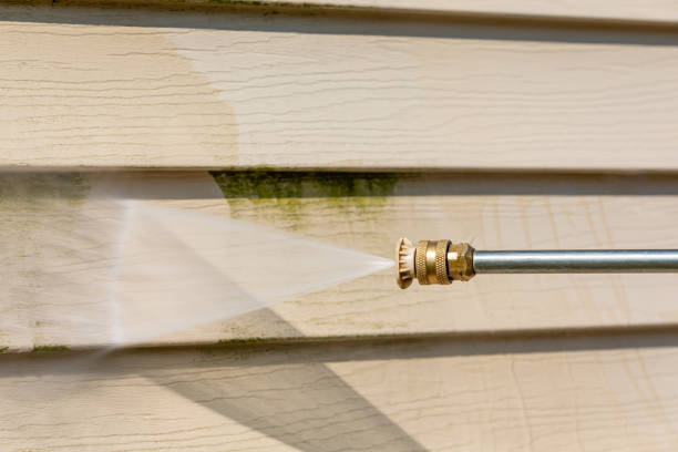 Best Pressure Washing Patio  in Paramount, CA
